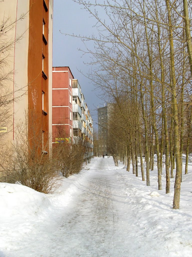 Сивко