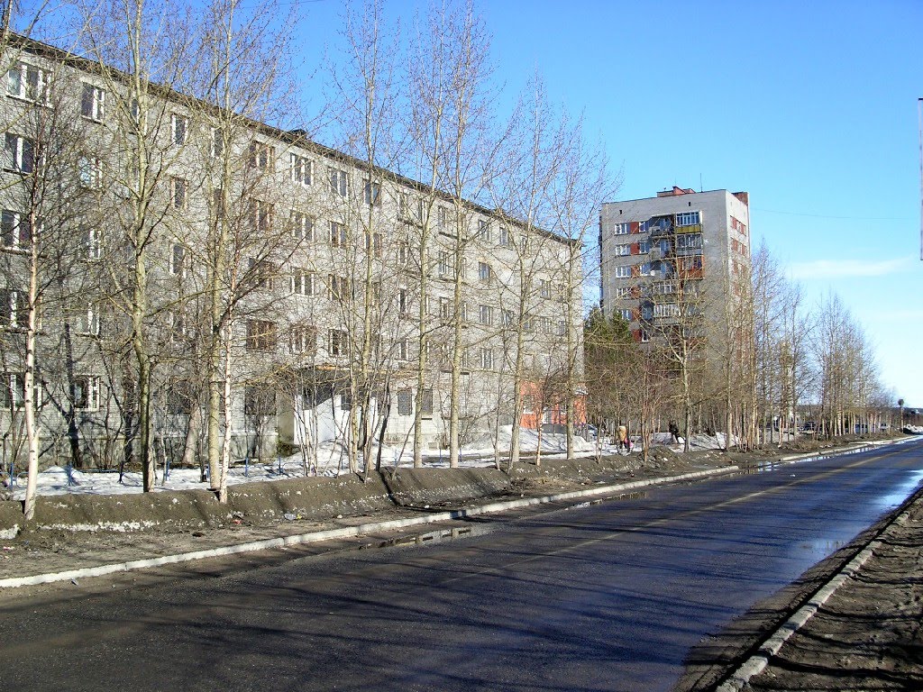 Нивский 12