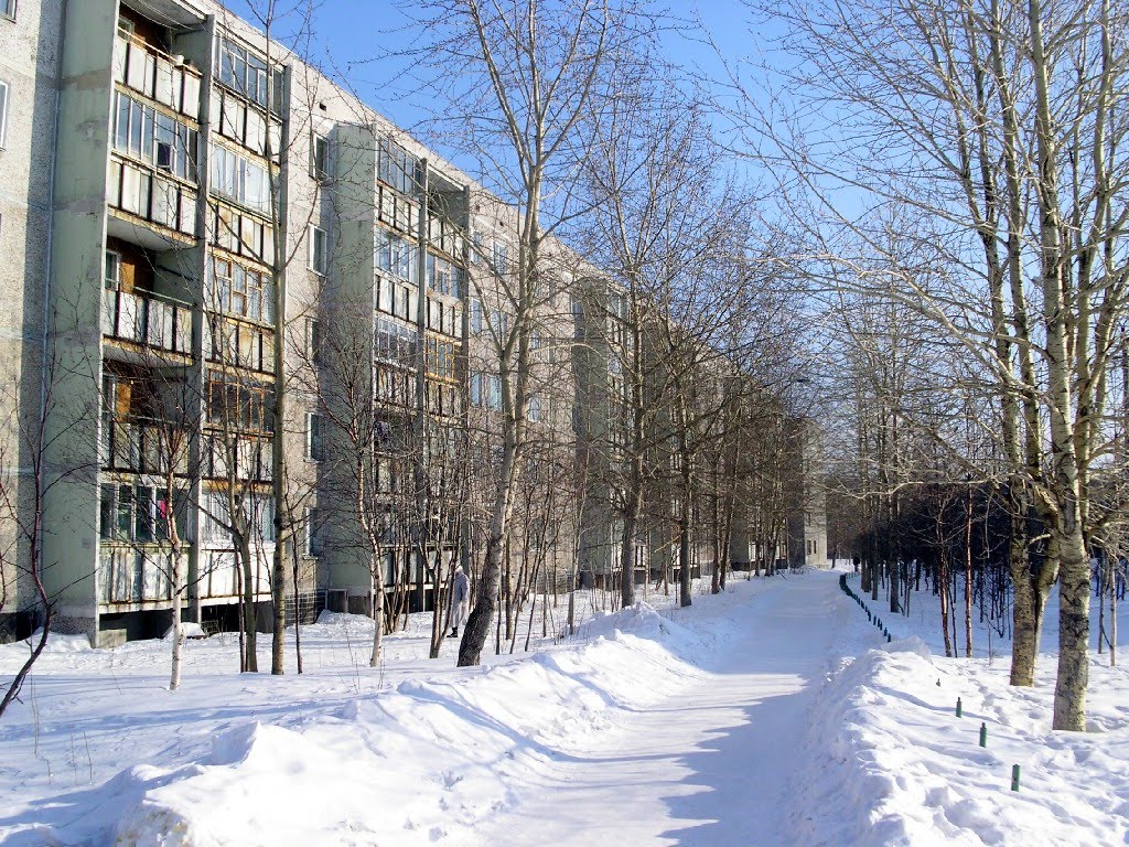 Ломоносова 7