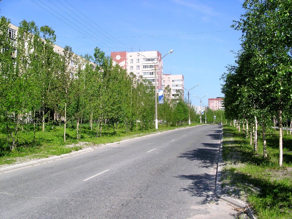 Ломоносова