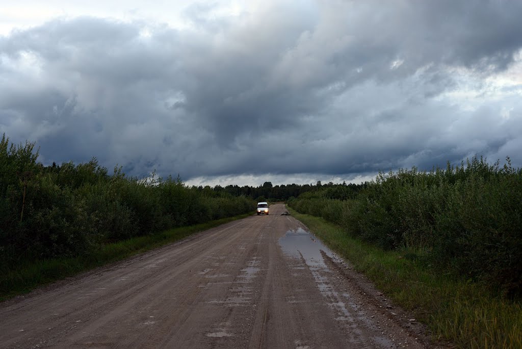 Batetskiy