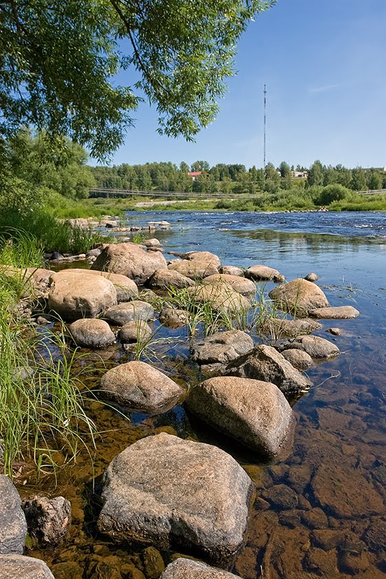 Река Мста