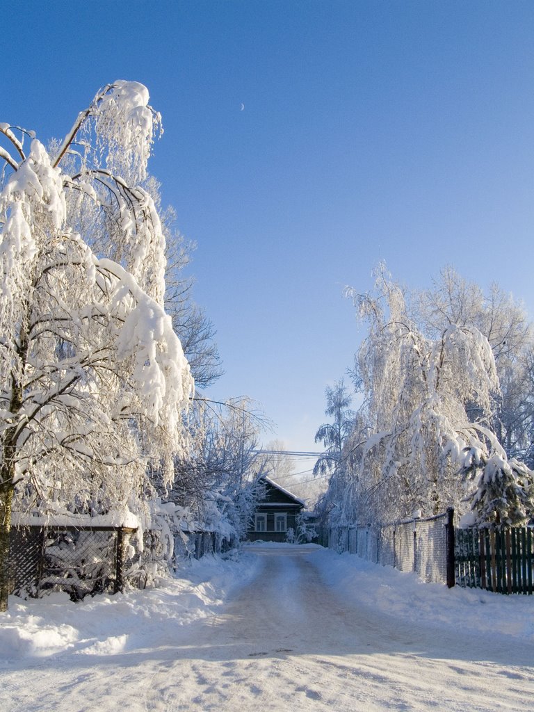Зима в Боровичах