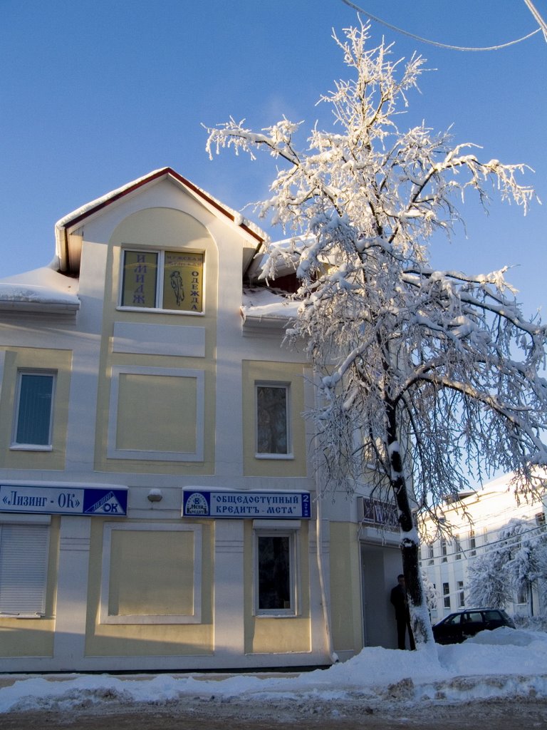 Боровичи зимой