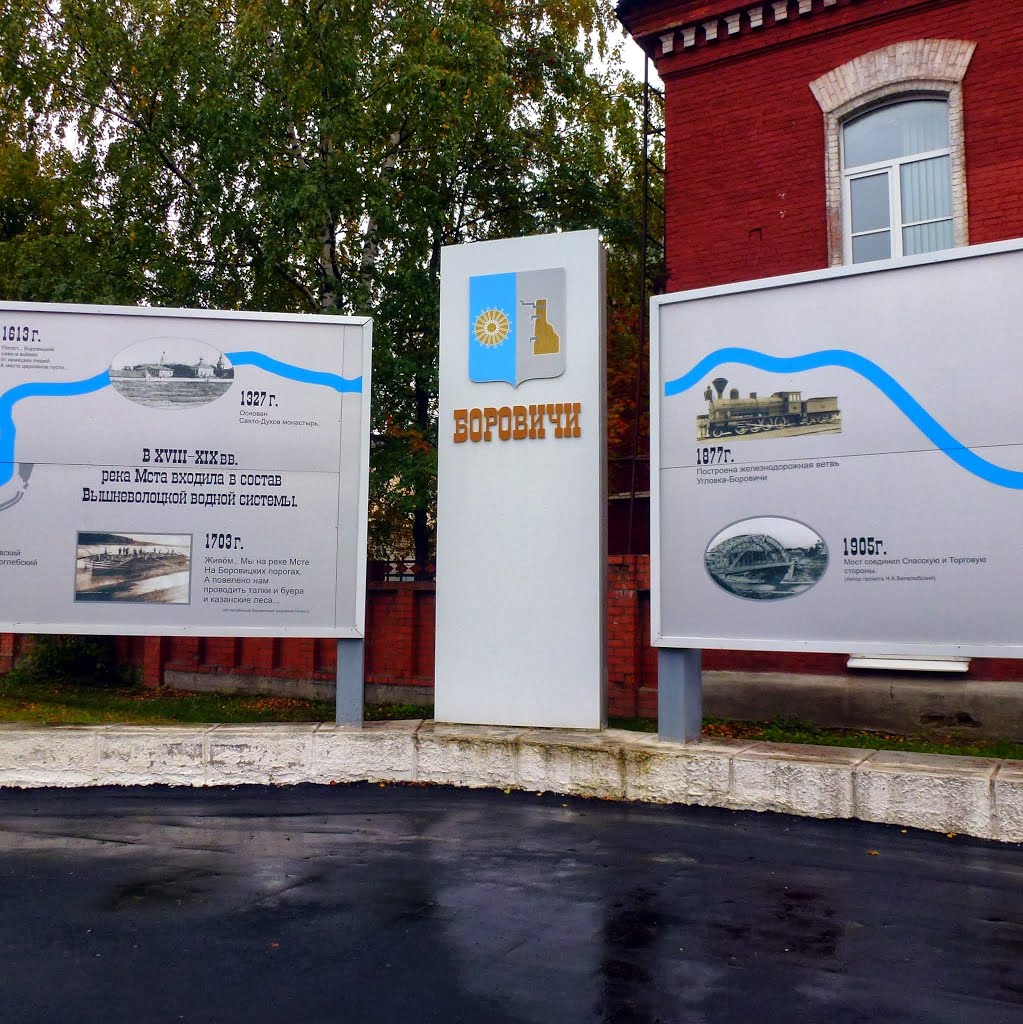 Боровичи