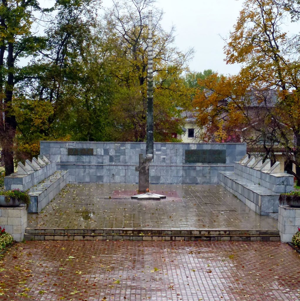 Вечный огонь, Боровичи