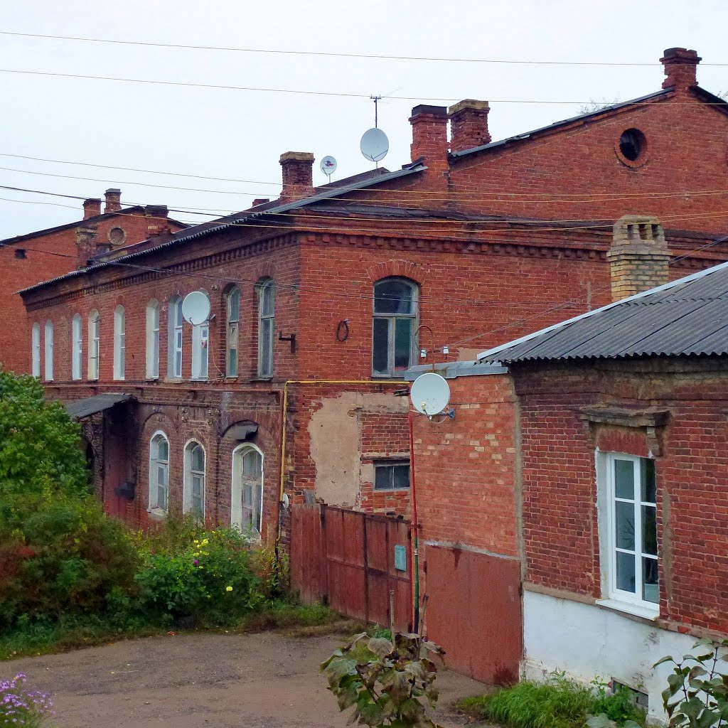 Боровичи