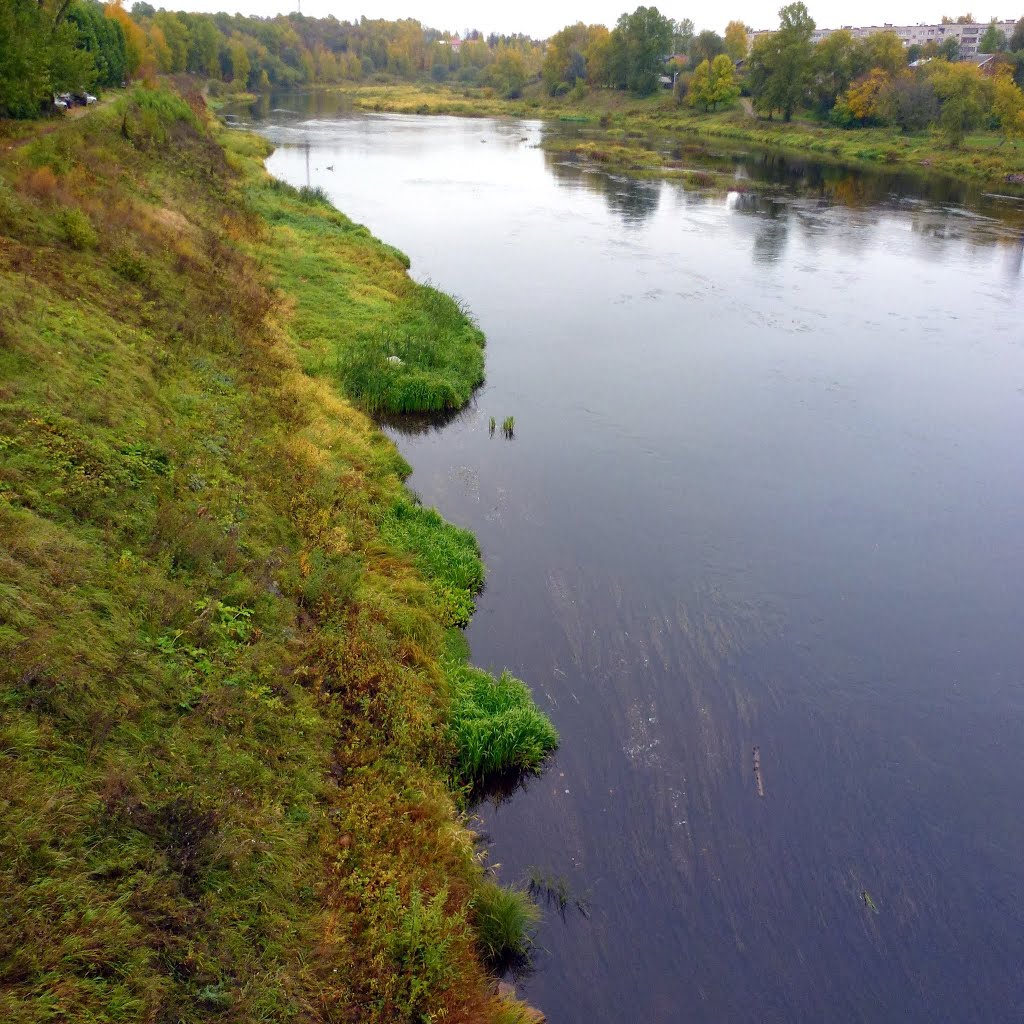 Река Мста, Боровичи