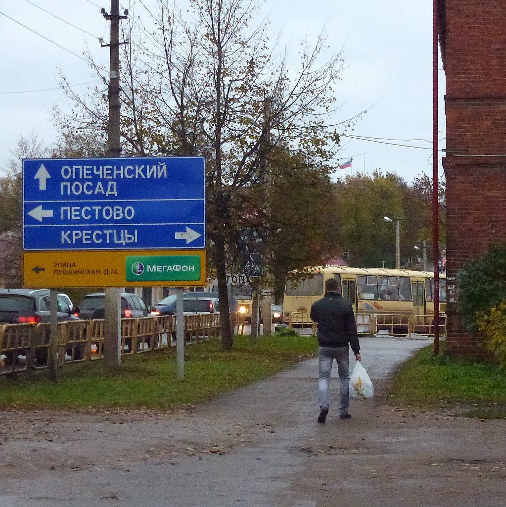 Боровичи