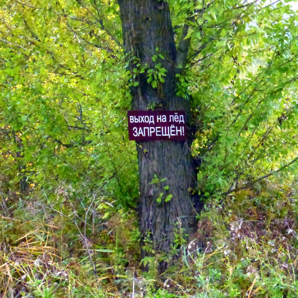 Боровичи