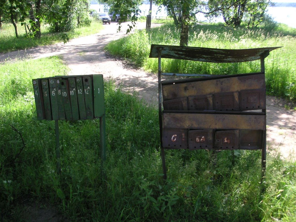 Мыло