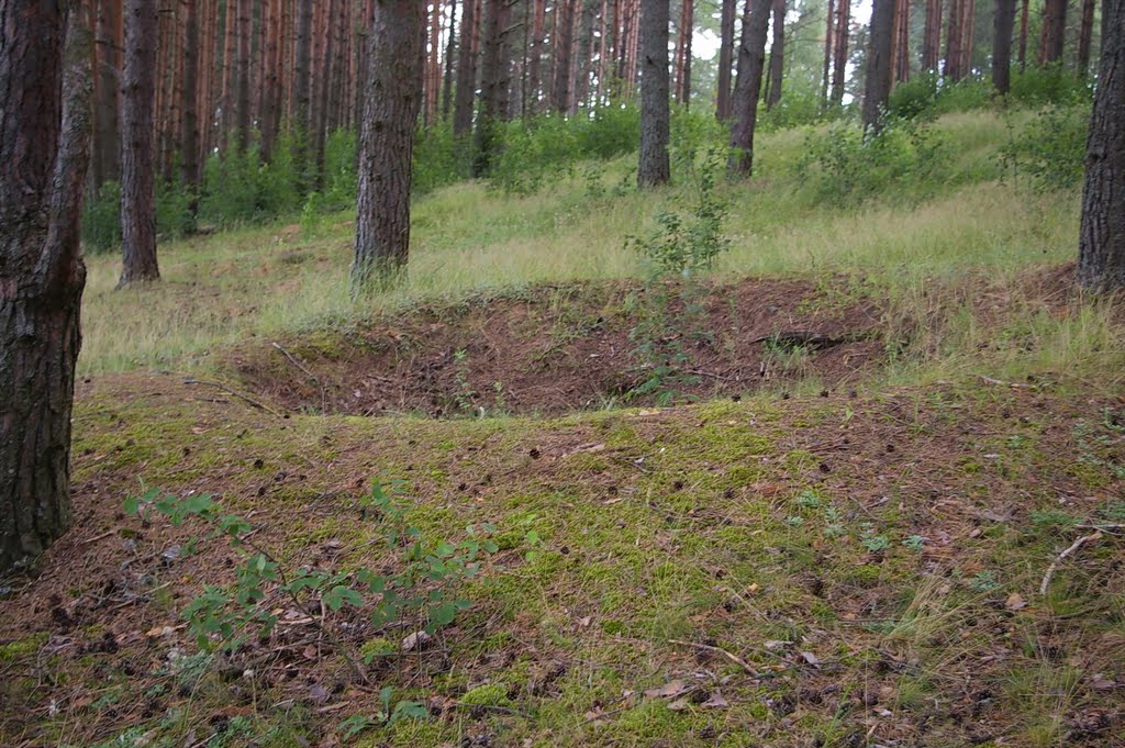 г.Демянск...воронка