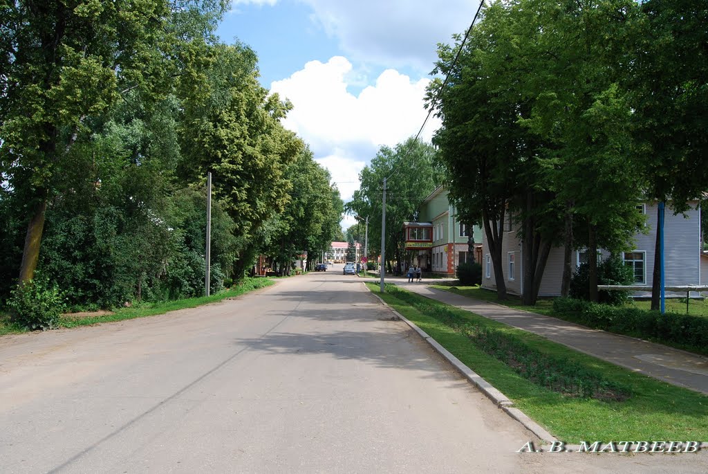 Демянск, ул. Ленина/Demyansk, Lenin st., 07.07.2011