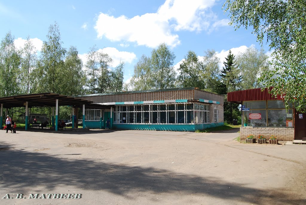 Демянск, ул. Урицкого, 13, автостанция, 10.08.2012 г.