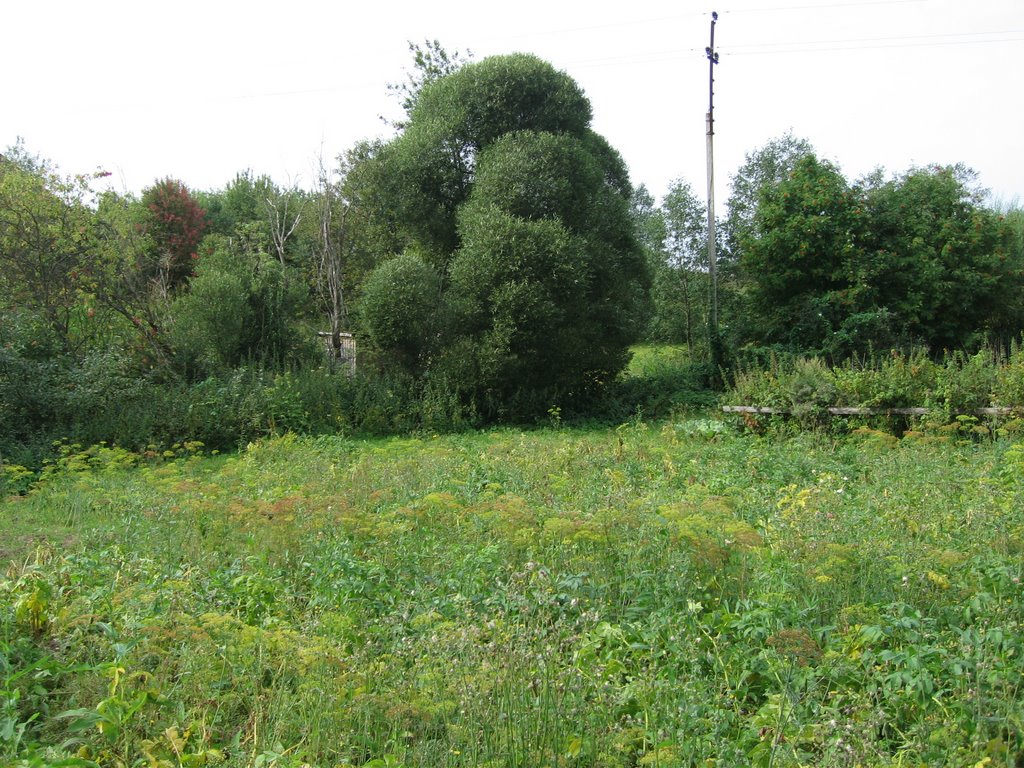 Зарубино (approx. location)