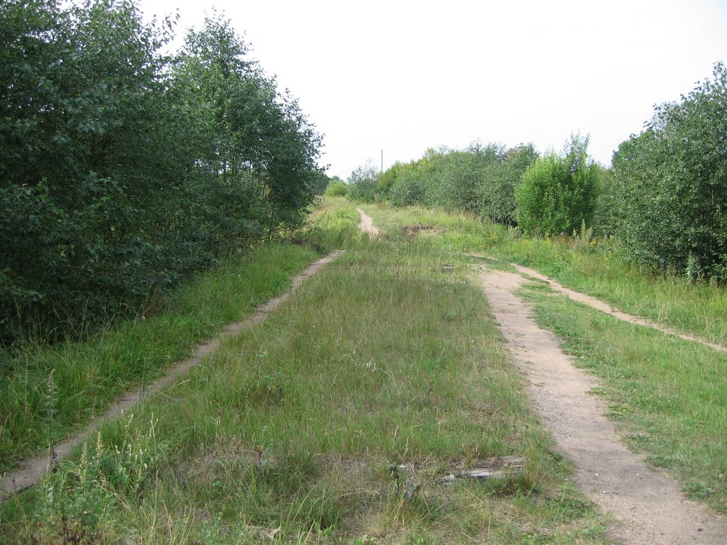 Зарубино 1 (approx. location)