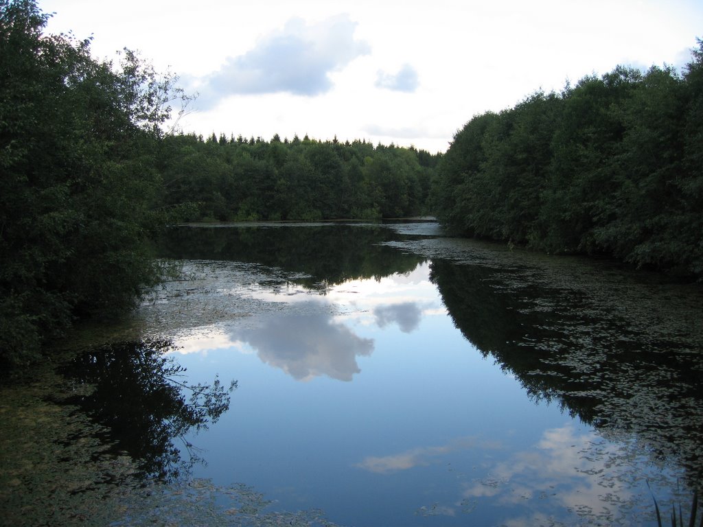 Зарубино 9 (approx. location)