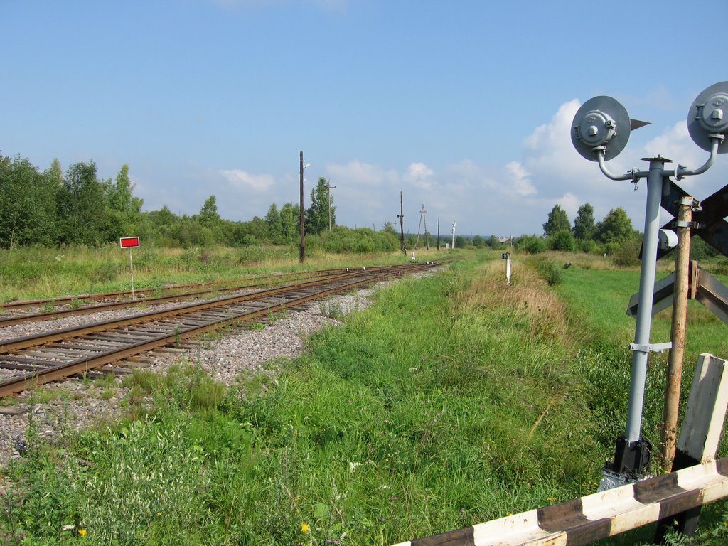 Зарубино 11 (approx. location)