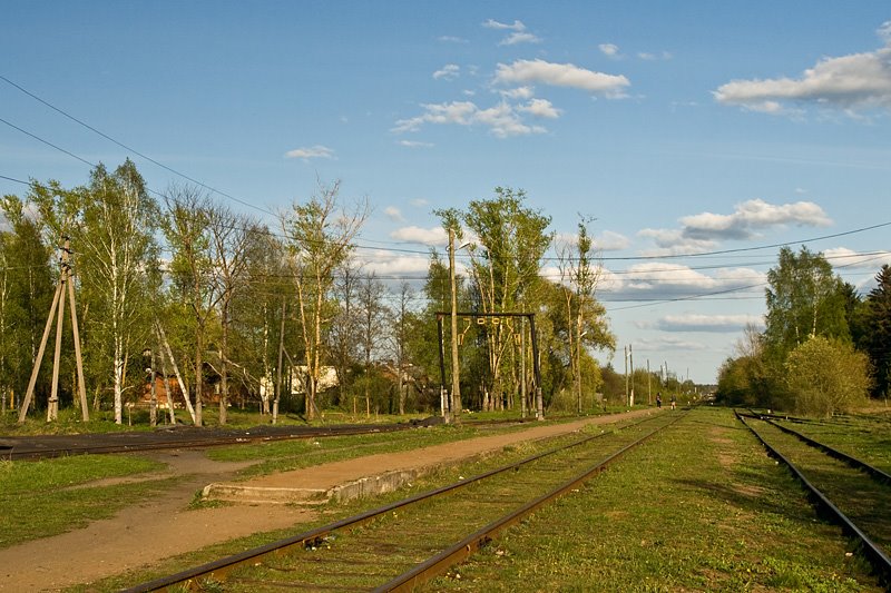 Krestsy station