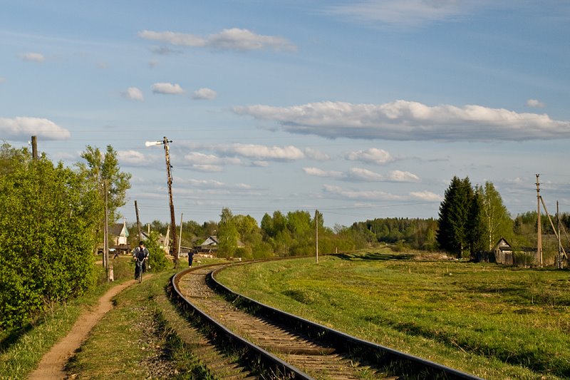 Krestsy station