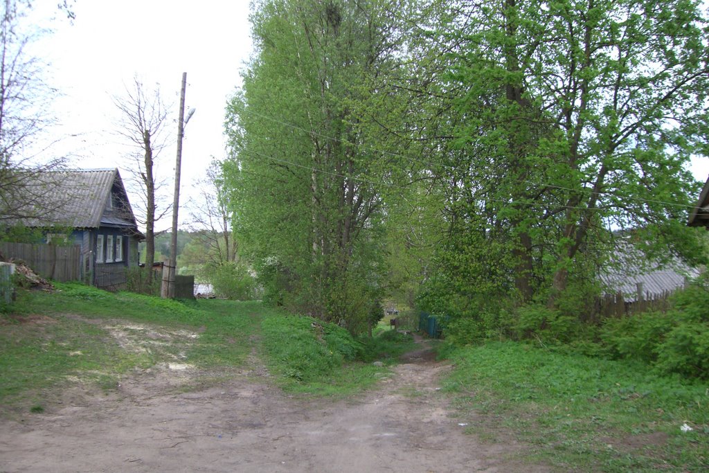 Спуск к реке