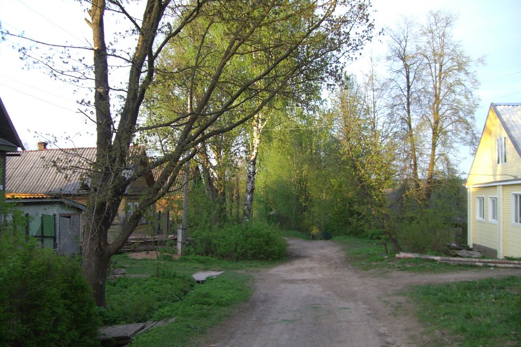 Дорога к реке