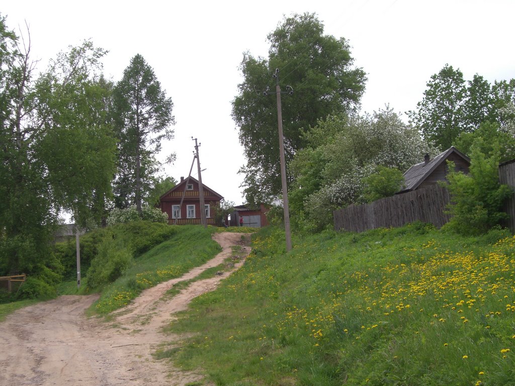 Дом на пригорке