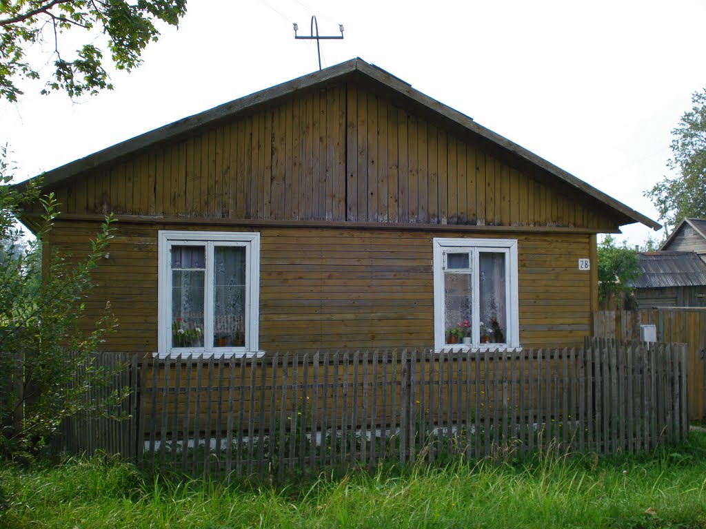 Дом по улице Фрунзе / The house on Frunze Street