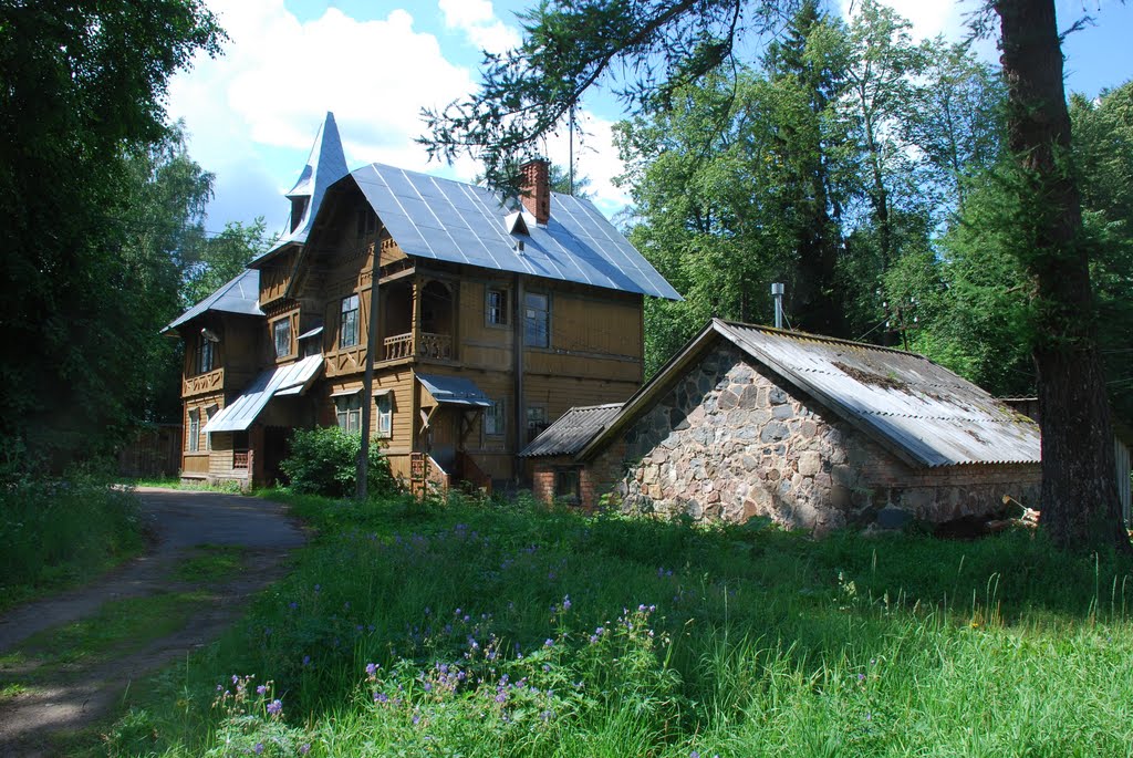 Любытино. Главный дом и валунный ледник в усадьбе И.Л.Горемыкина