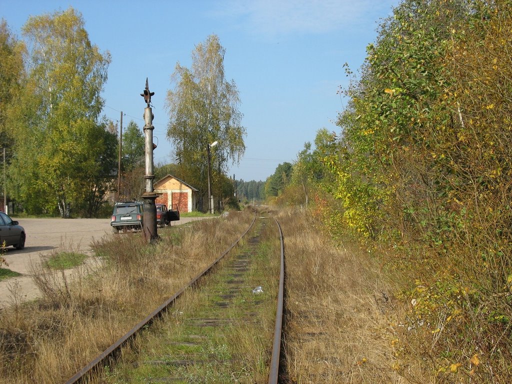 Lyubytino station
