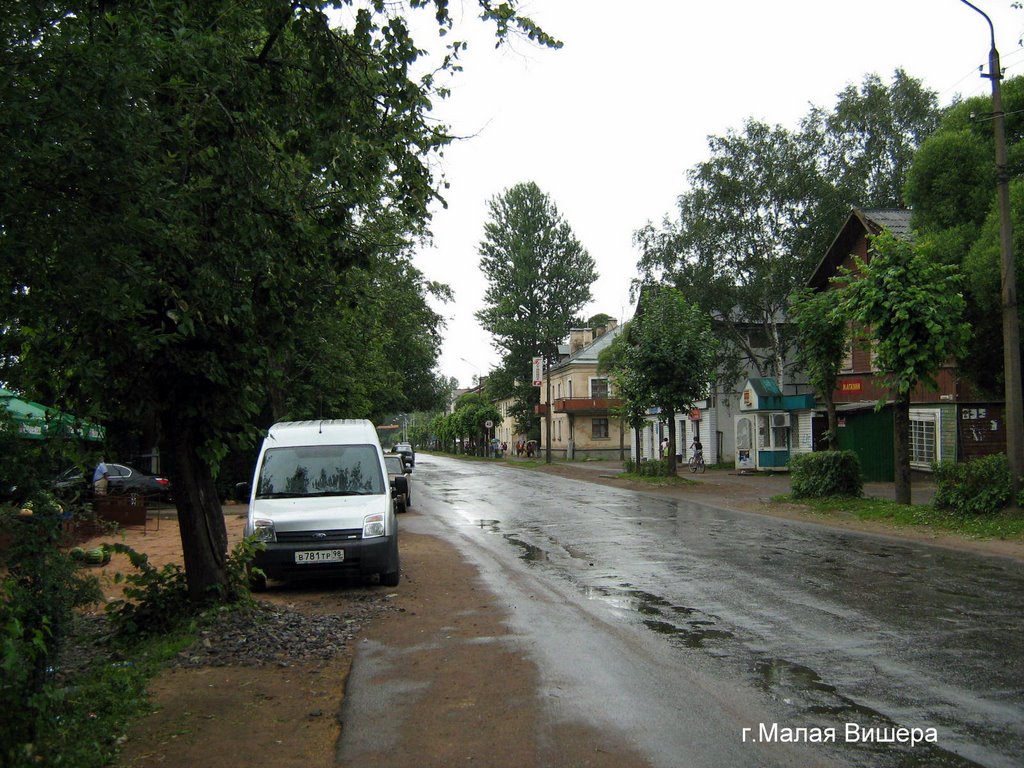 г.Малая Вишера