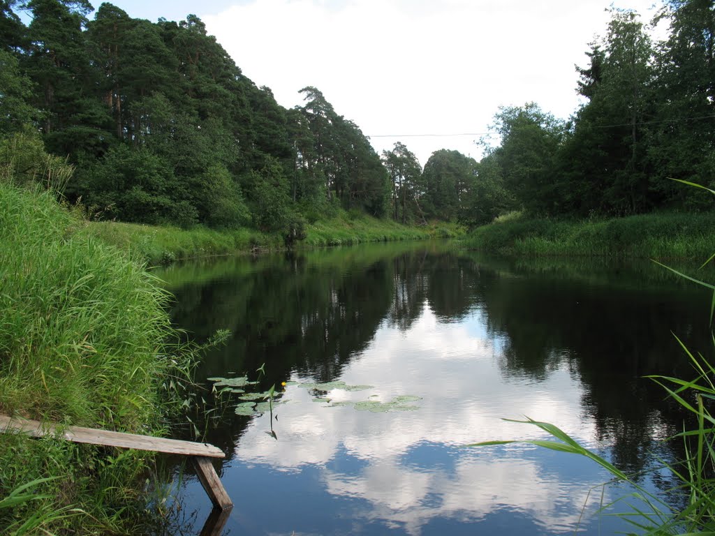 Moshenskoye
