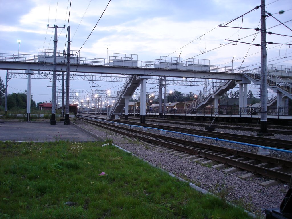 станция Окуловка