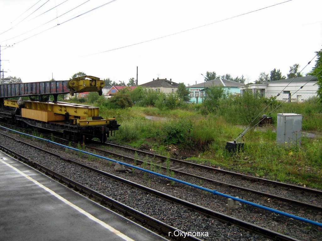 г.Окуловка