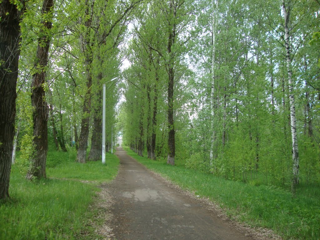парк бумкомбината