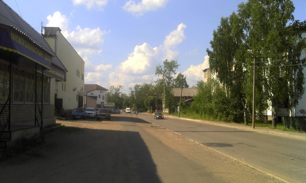 ул. Миклухо Маклая