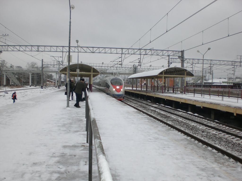 Сапсан