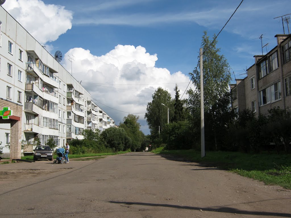 Streltsova str.