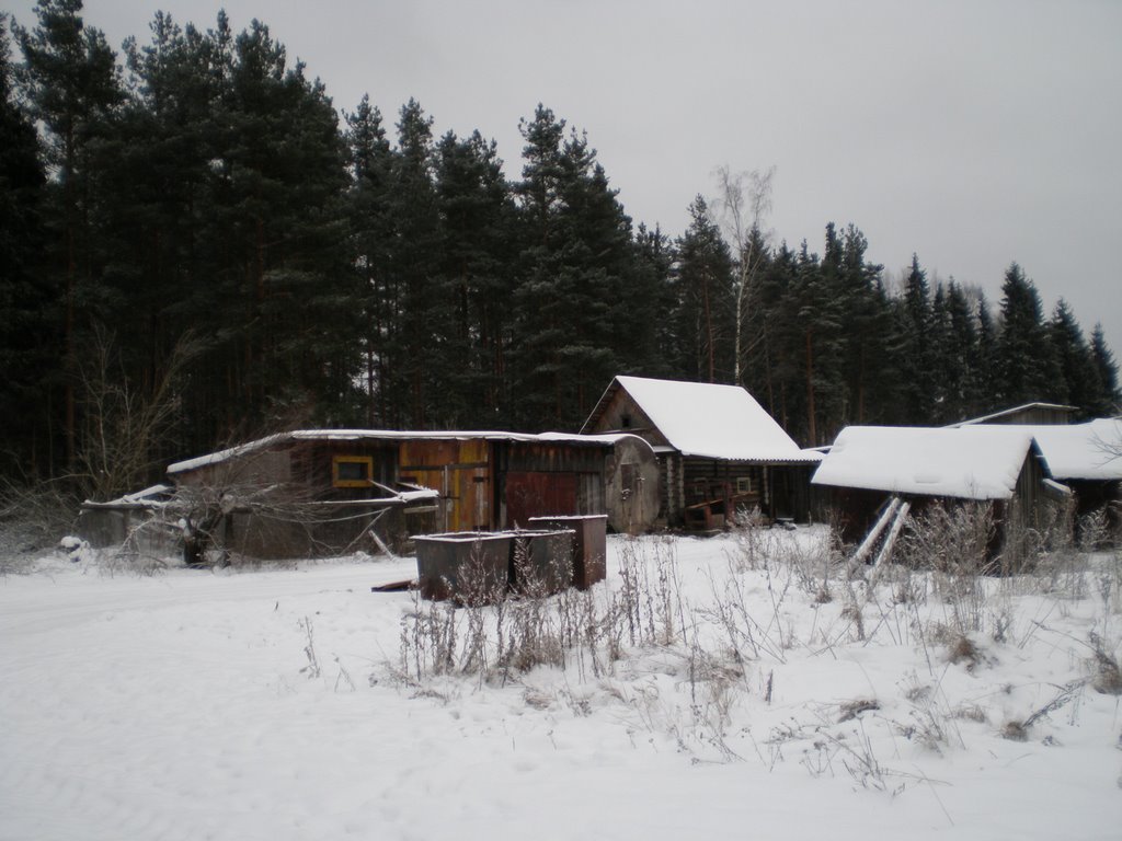 Sarayki