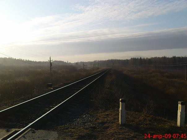 переезд в д. Гонцы