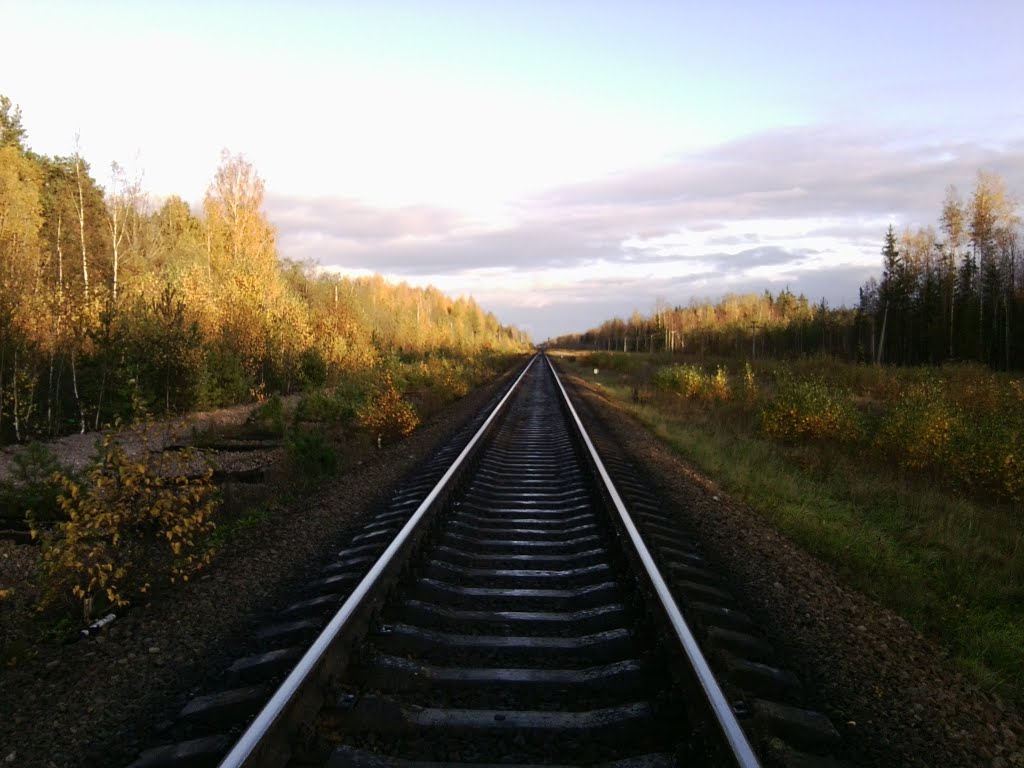 Унылая пора
