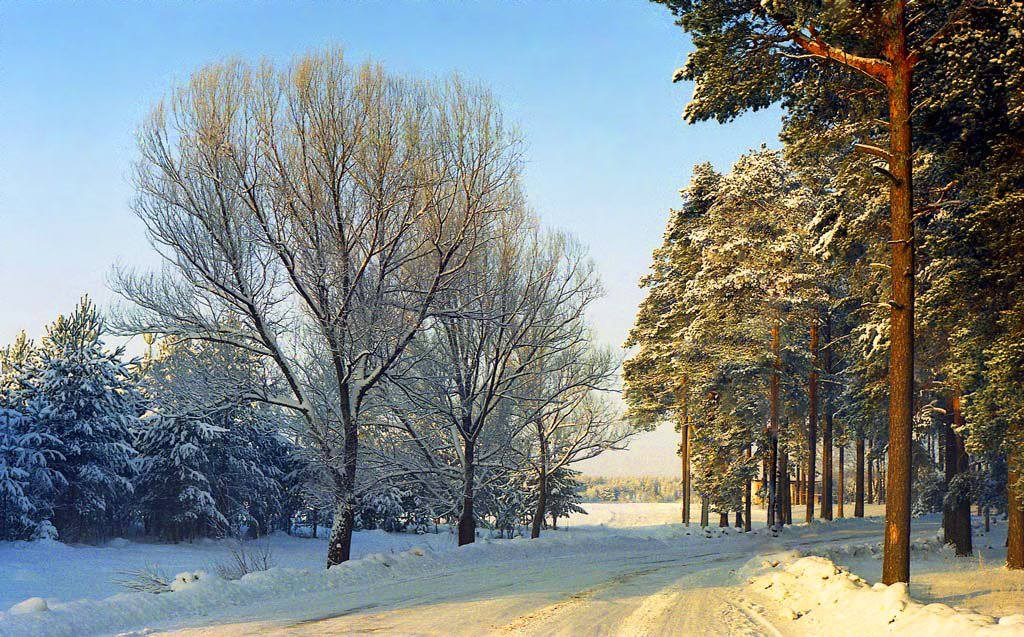 Пестовский Парк