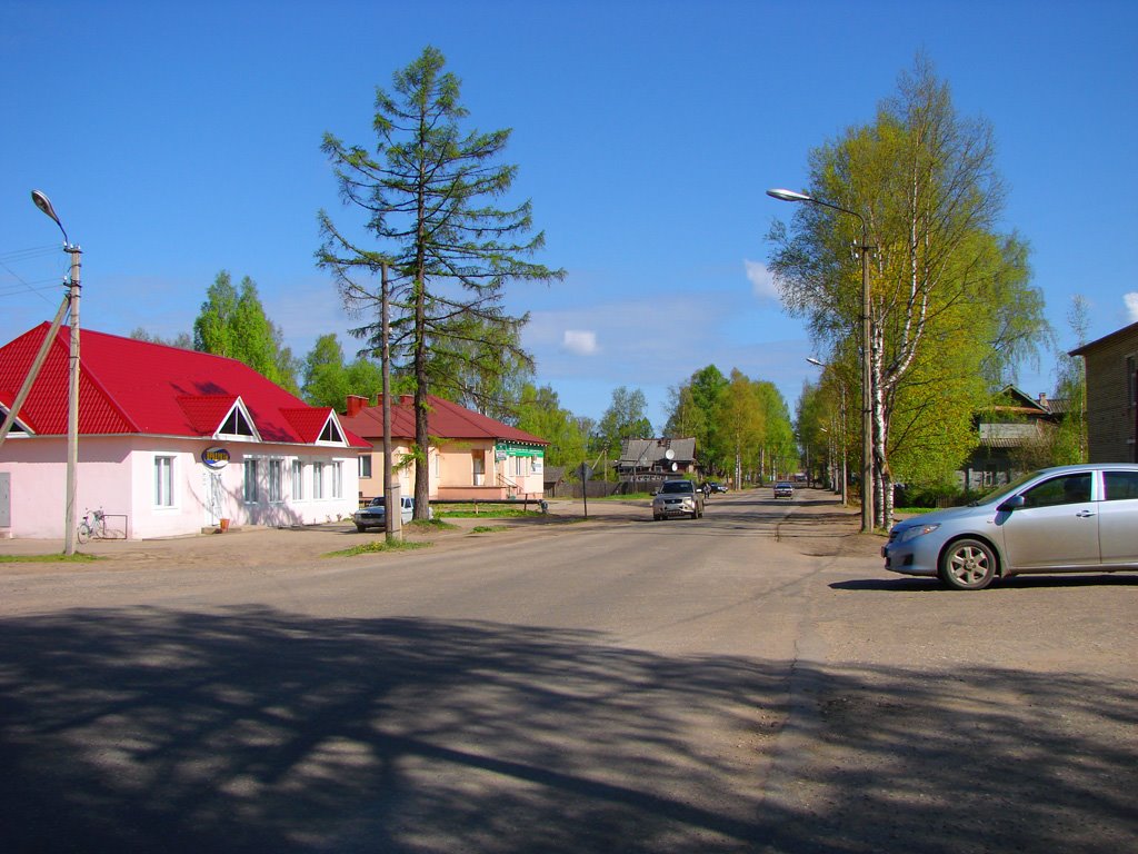 Улица Пионеров