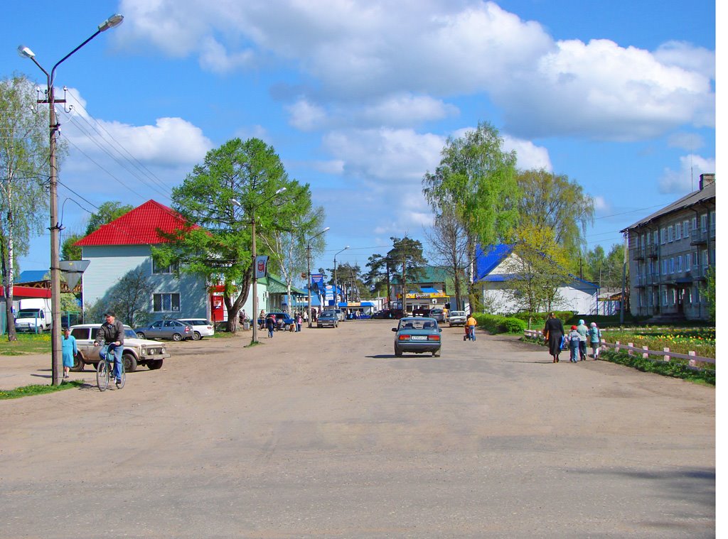 Центральная улица