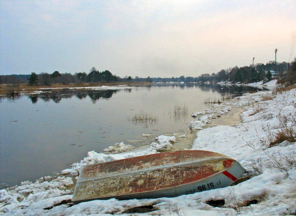 Река Молога. Весна
