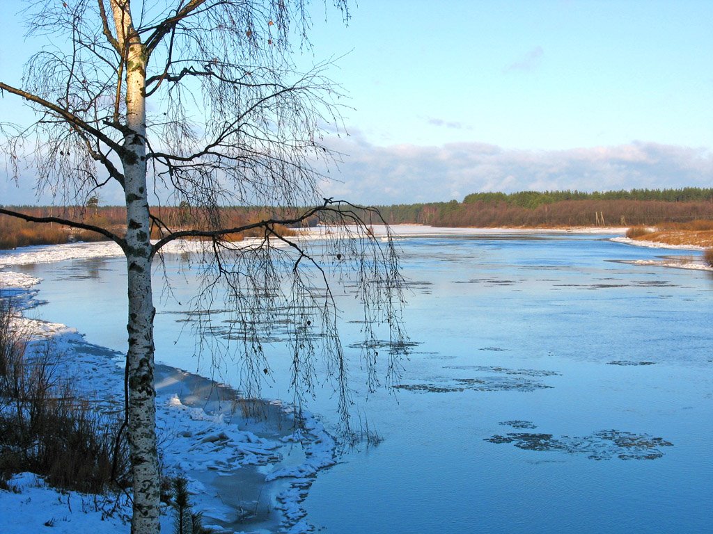 Река Молога. Ледоход