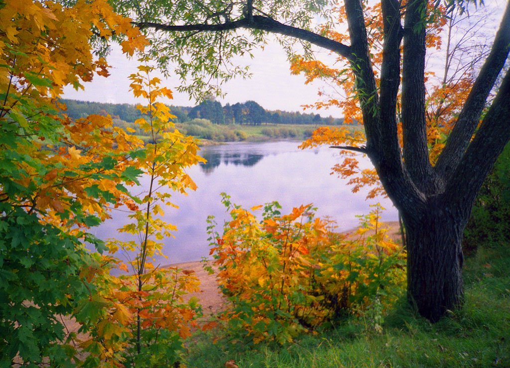 Осень. Городской пляж