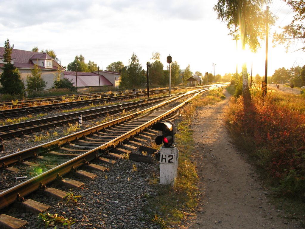 Станция Пестово