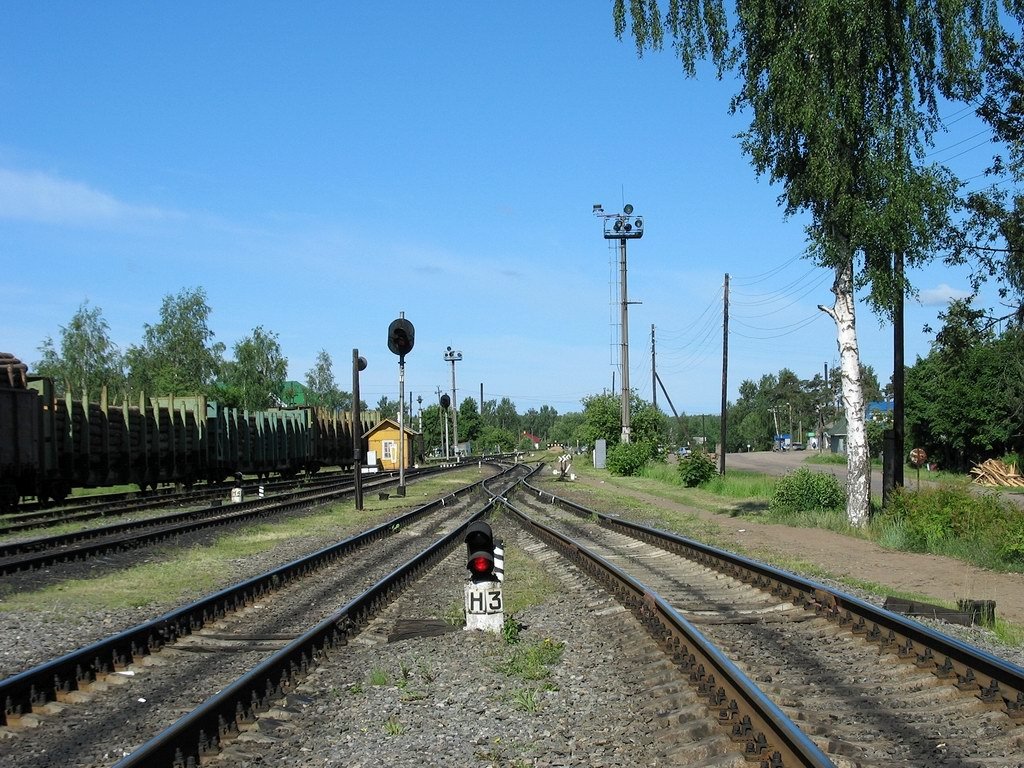 Pestovo station