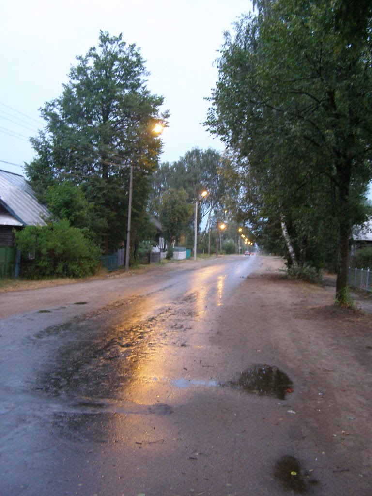 После урагана в Пестове